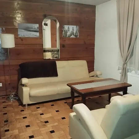 Pod Wyciagiem Hotel *