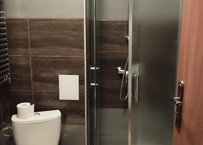 Pod Wyciagiem Hotel *